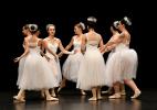 Gala de danse classique 14 ans à jeunes adultes 2026